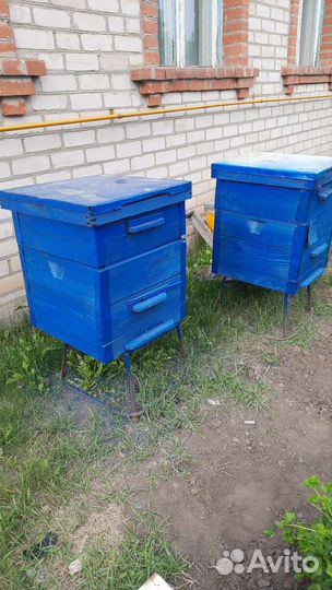 Продам Пасеку/Пчеловодство/Пчелы