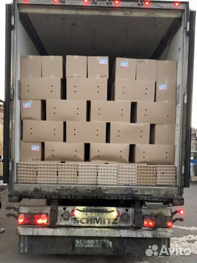 Яйцо куриное С1(бел) оптовый рынок 