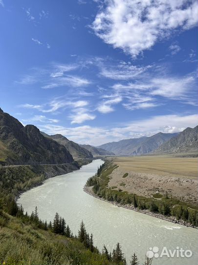 Трансфер, туры по Горному Алтаю
