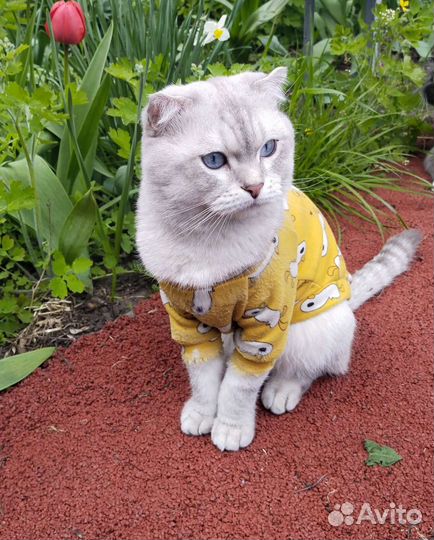 Котик для вязки