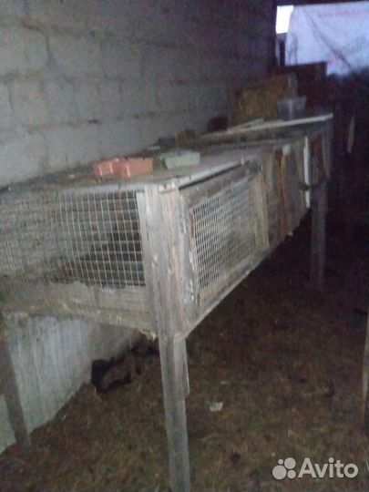 Клетка для кролика