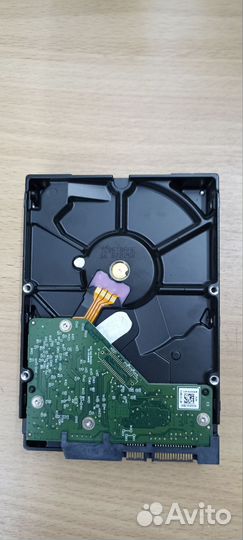 Жесткий диск WD Вlue WD10еzех 1 тб