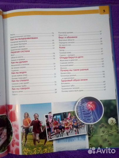 Детская энциклопедия