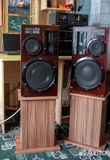 Акустическая система Электроника 25 ас-027