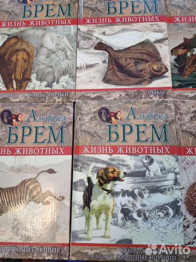 Коллекция Книг 24 шт