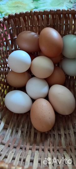 Яйцо из деревни