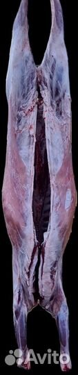 Мясо баранина свежая