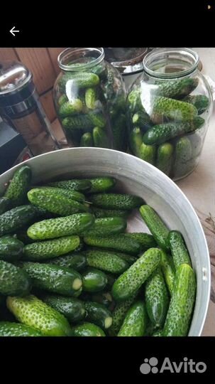 Яйца,грибы,ягоды, соленья, варенья дачные