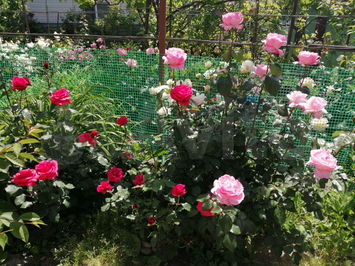 Комната 15 м² в 4-к., 1/3 эт.