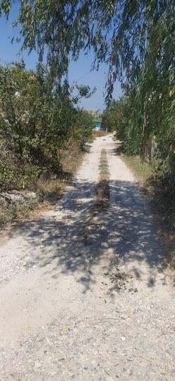 Участок 5 сот. (СНТ, ДНП)