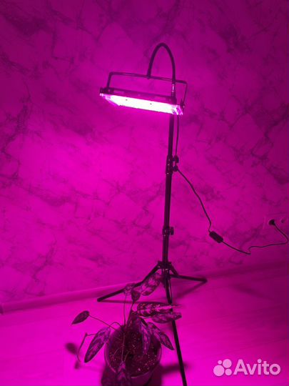 LED лампа для растений 50вт полный спектр