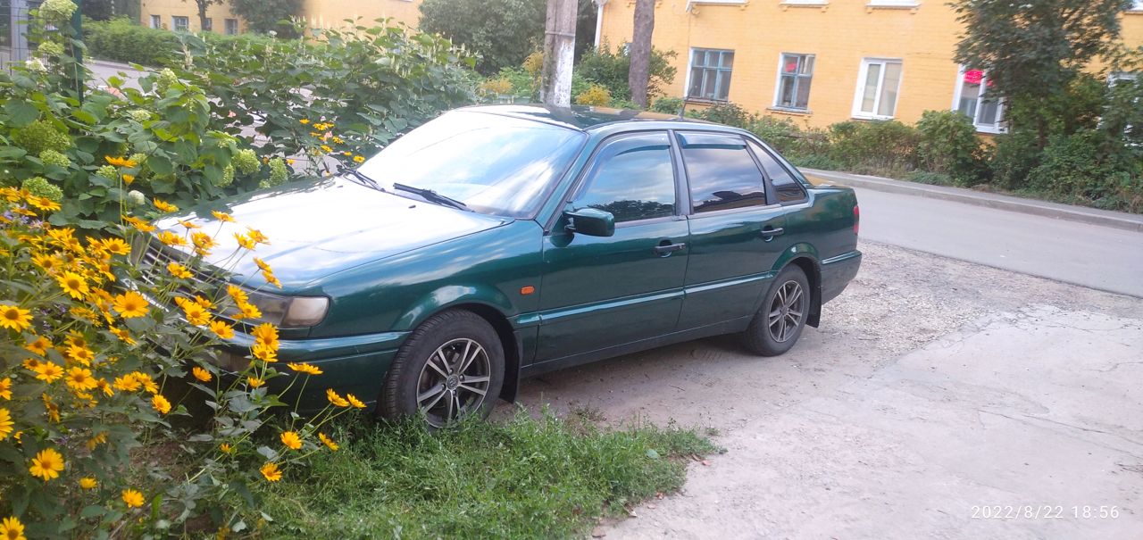 Volkswagen Passat: фото владельца