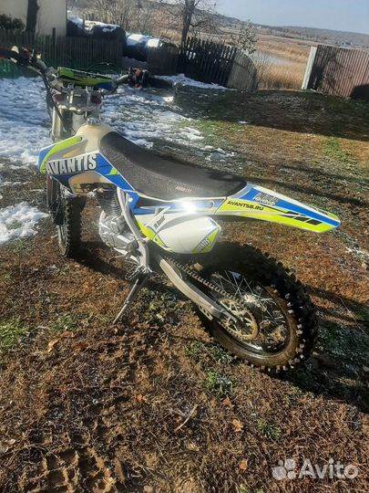 Avantis FX250