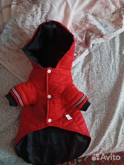 Комбинезон демисезонный