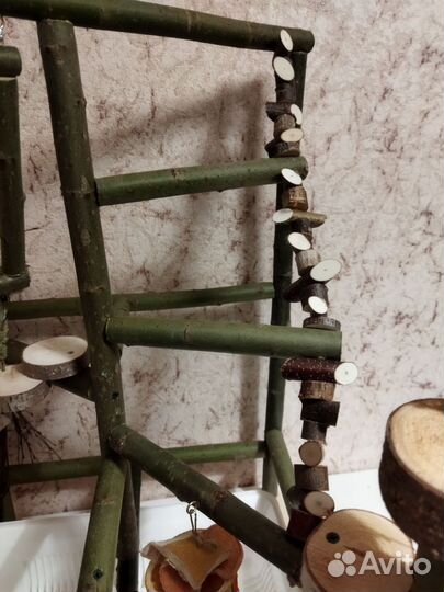 Стенд для попугая