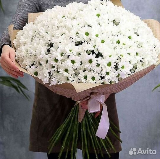 Хризантема. Букеты Цветы доставка