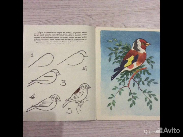 Развивающий рисунок