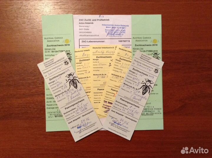 Пчеломатки Карника и Бакфаст