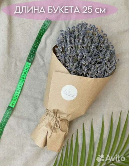 Крымская лаванда