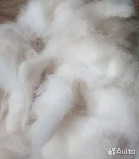 Собачья шерсть