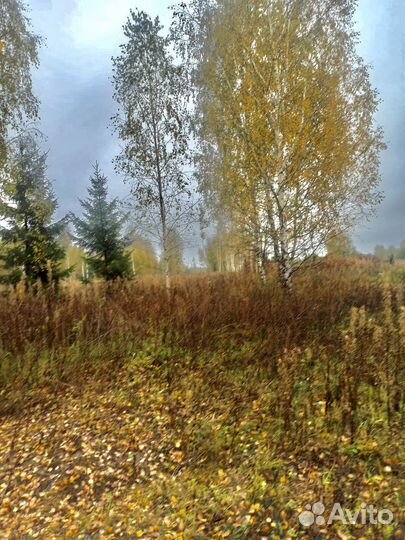 Гостиница рыболовный комплекс