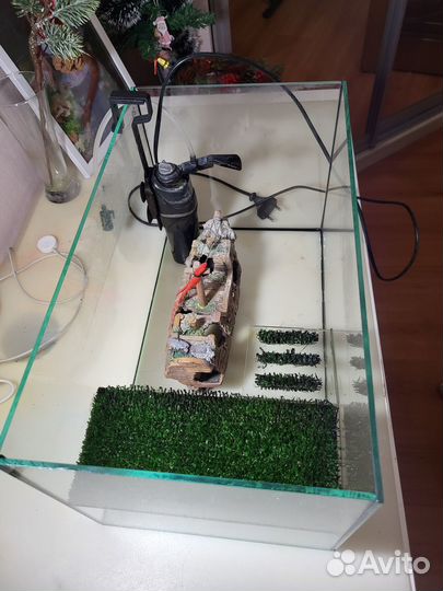 Аквариум
