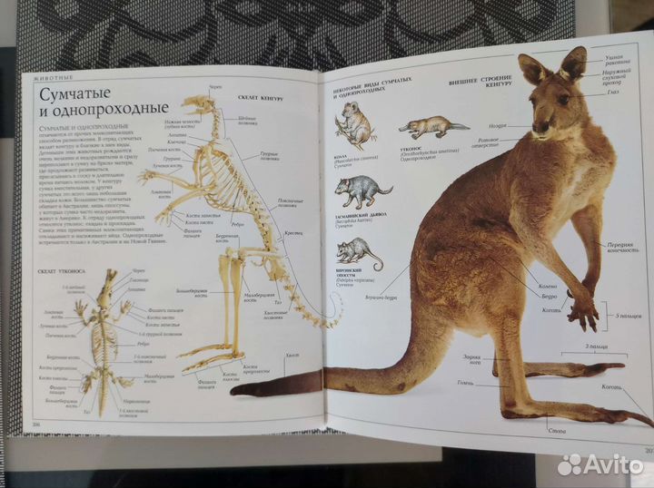 Энциклопедический словарь