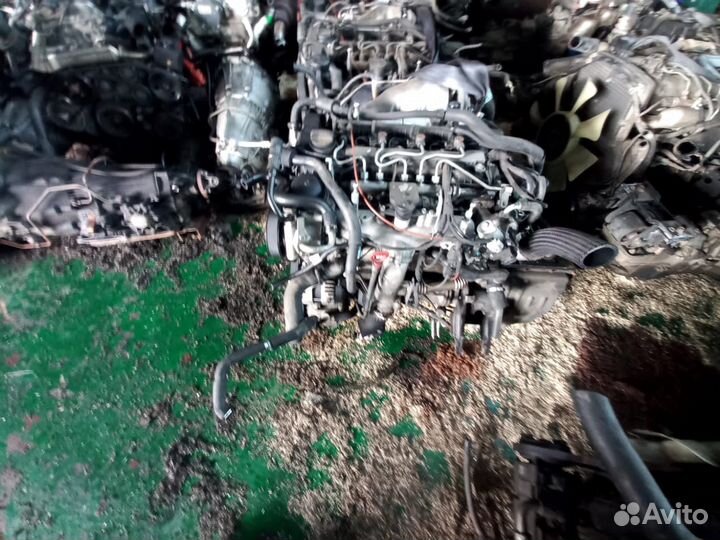 Двигатель d20dtr korando sport