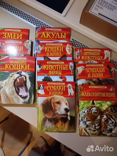 Энциклопедия для детей