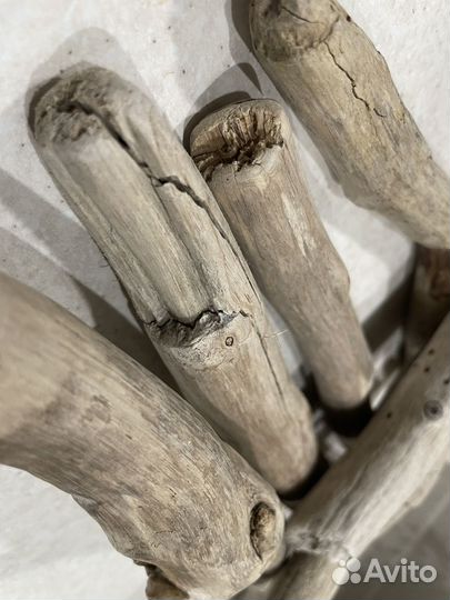 Дрифтвуд комплект