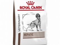 Royal canin hepatic