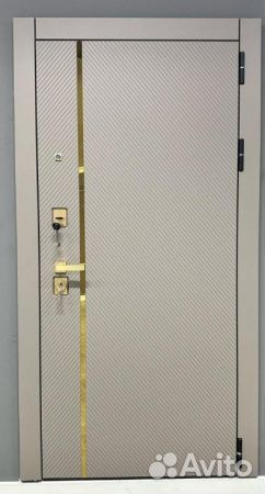 Дверь нестандартная входная