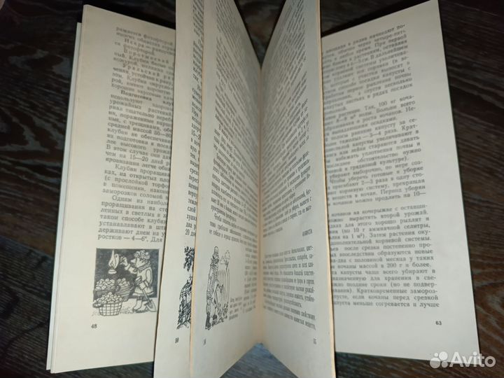 Книга, Домашний огород 1982г