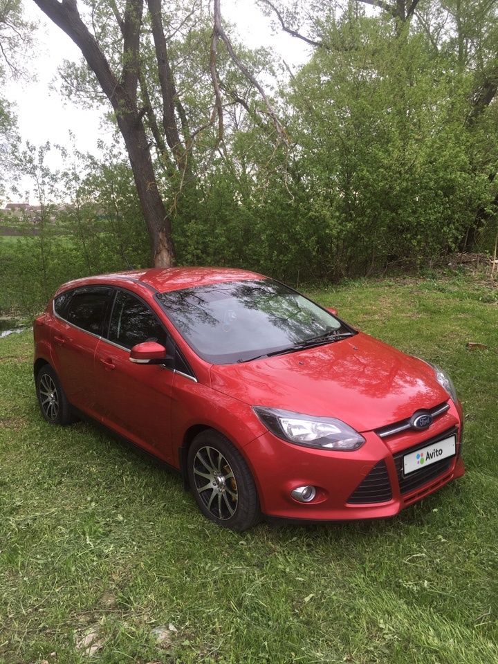 Ford Focus: фото владельца