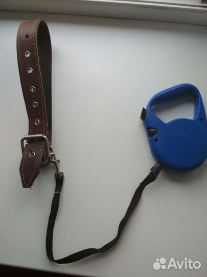 Поводок с ошейником для собаки