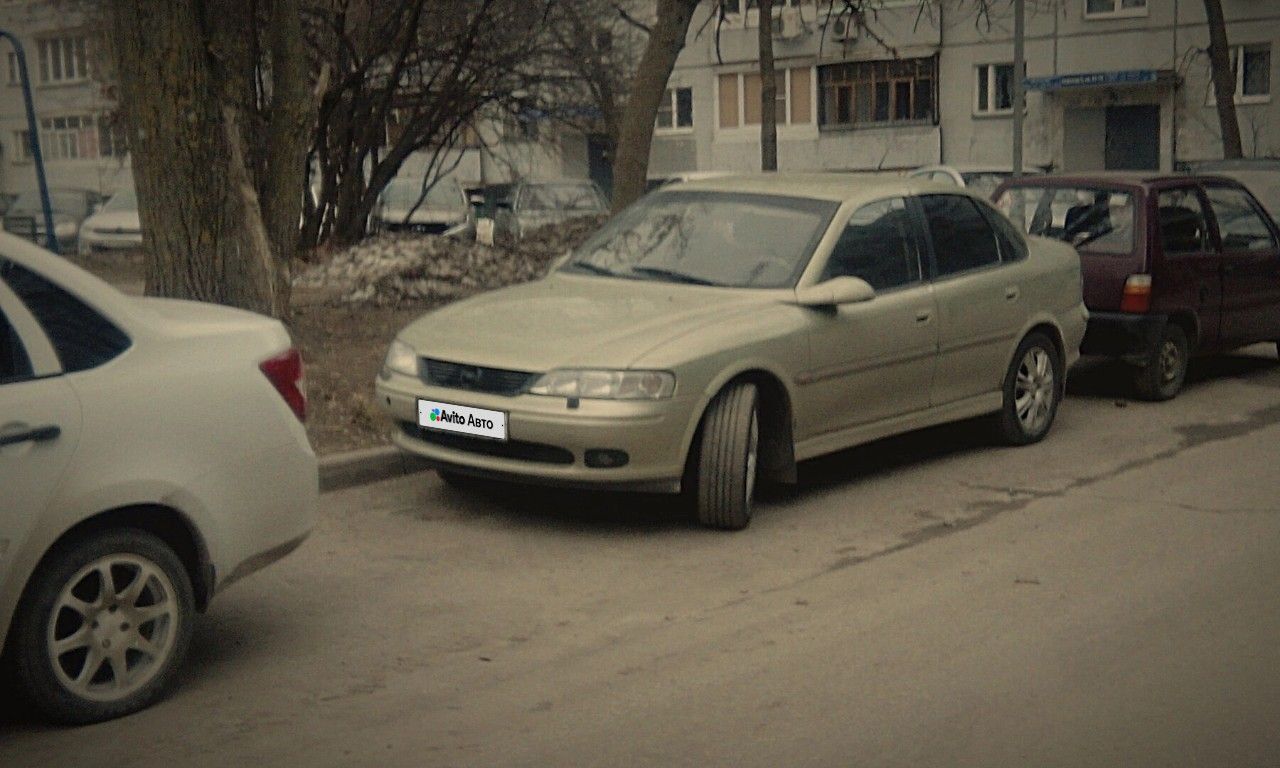 Opel Vectra: фото владельца
