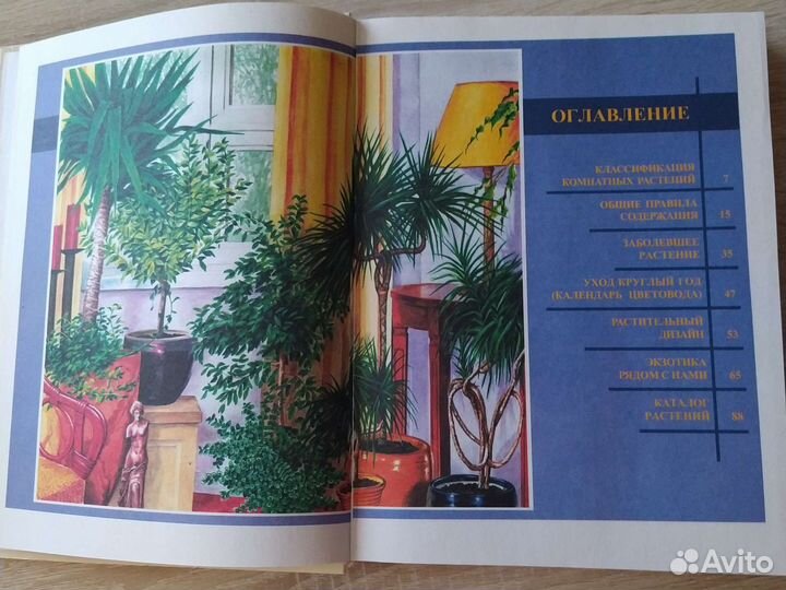 Книга энциклопедия комнатных растений
