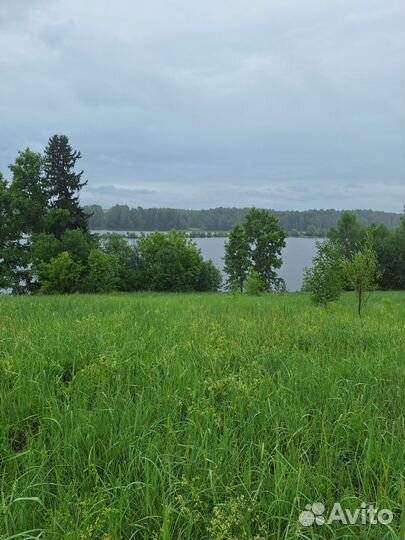 Оформлю земельный участок от государства с нуля