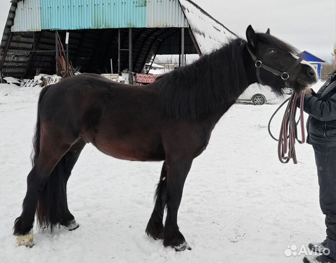 Кросс-тинкер