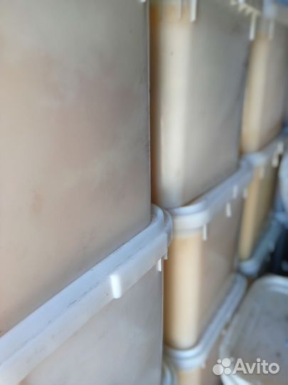 Мёд цветочный 2023