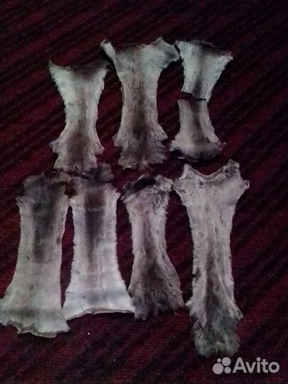 Шкурки оленя