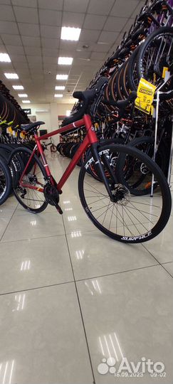 Велосипед silverback strela elite (2023) Satin Mat