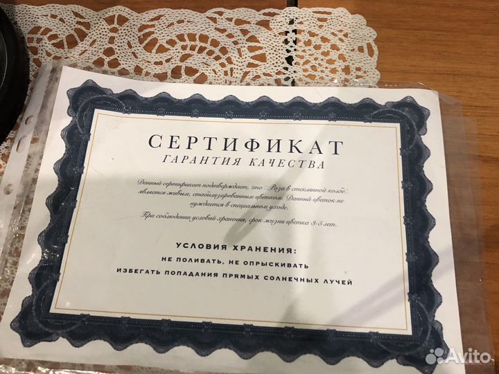 Вечная роза в колбе