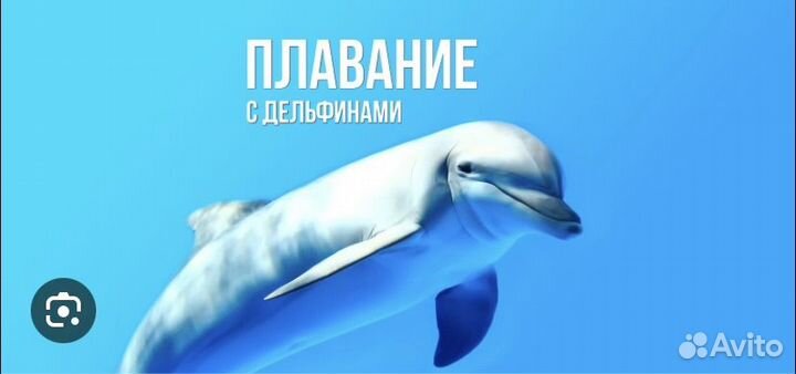 Подарочный сертификат на 