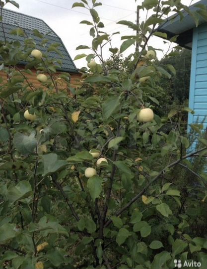 Дача 120 м² на участке 18 сот.