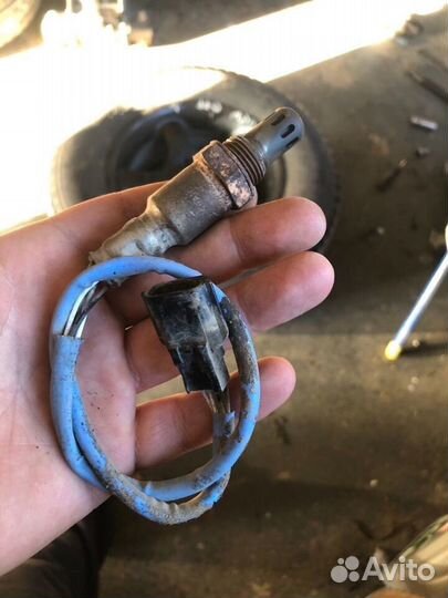 Лямбда зонд