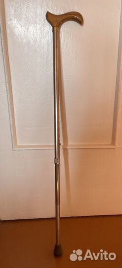 Бадик трость