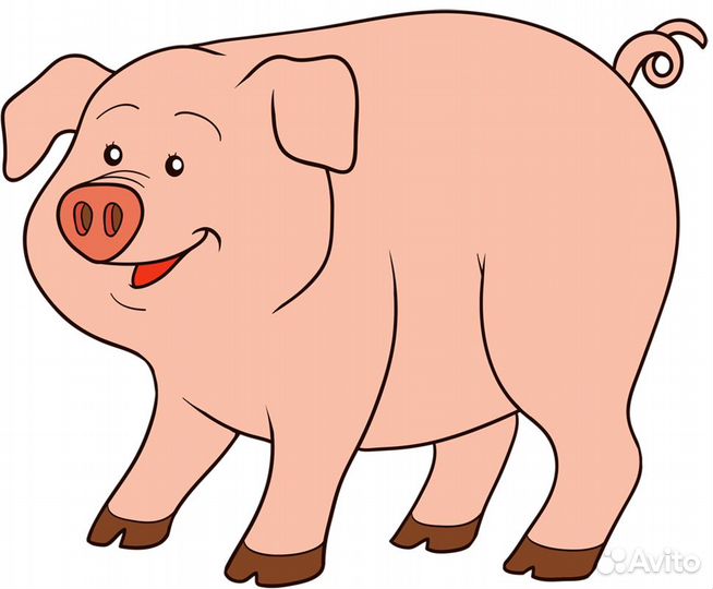 Забой скота