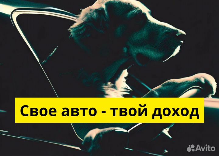 Вакансия в Яндекс.GO