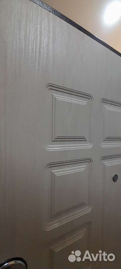 Дверь входная на базальтовой плите